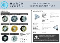 Horch Akustik Deckensegel mit Beleuchtung, 120cm x 240cm - 2,88m², Eisblau (Vlies) Rahmen: Schwarz EPS, 6 Strahler + RGB-Lichtleiste (bunt)
